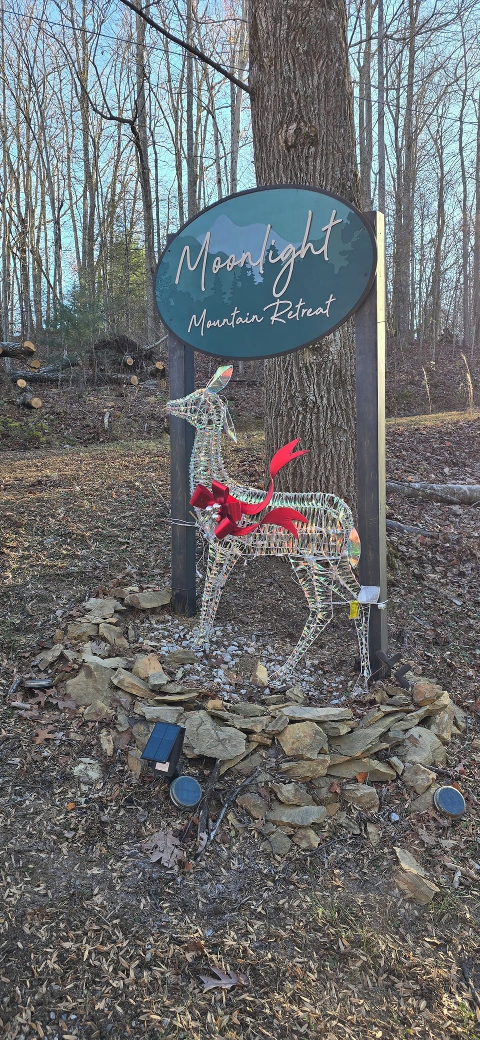 Welcome to Moonlight Retreat—your escape tucked into the trees.