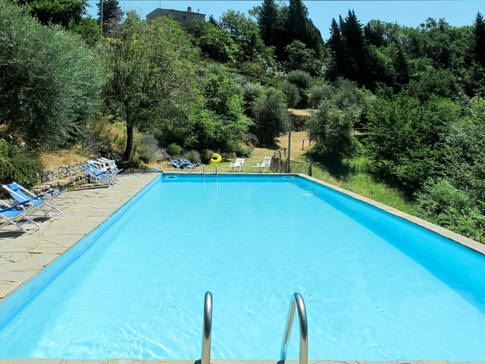 Water, Plant, Property, Swimming Pool, Azure, Nature, Rectangle, Shade, Sky, Tree