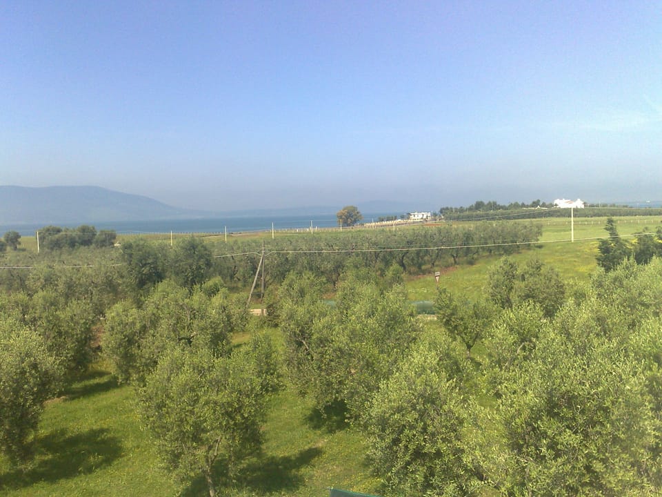 Gargano Semi-detached house Villa in Province of Foggia