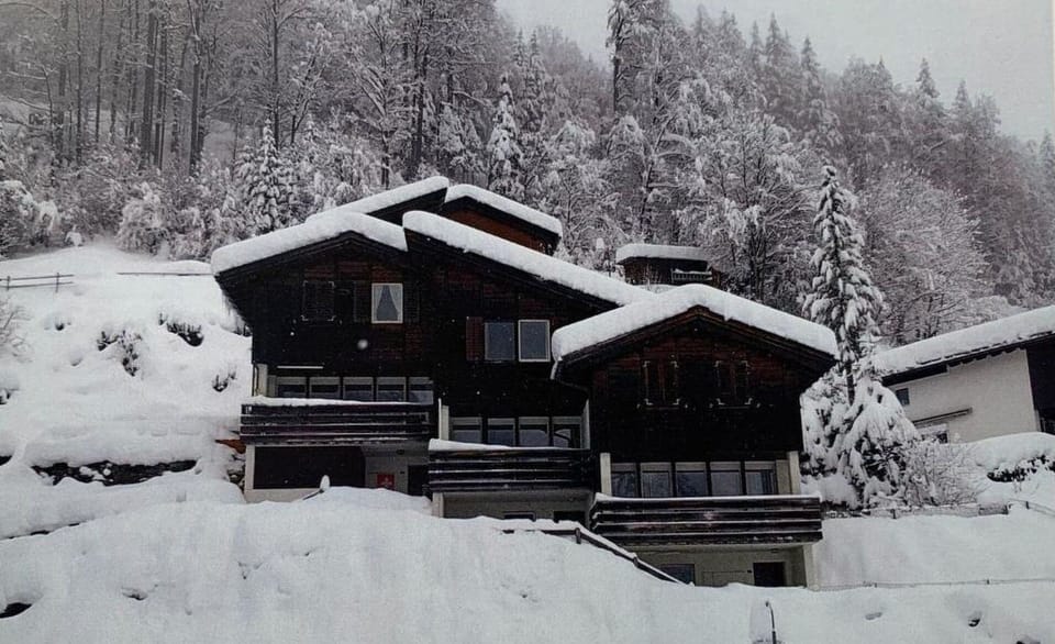 Sky, Plant, Building, Cloud, Window, Tree, House, Wood, Urban Design, Slope