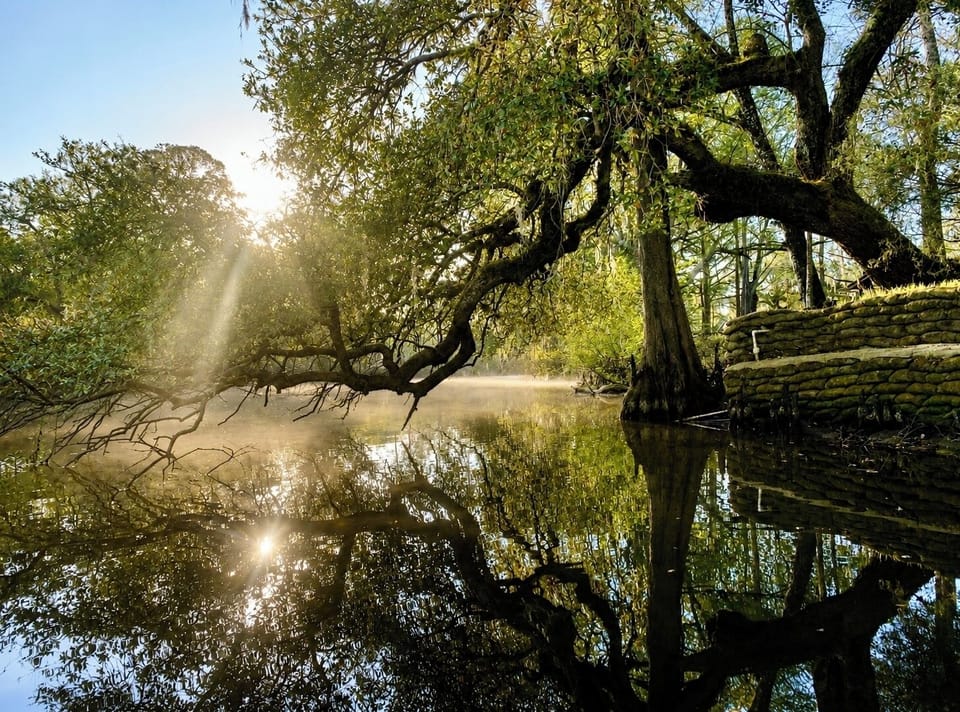 Beautiful morning on the river