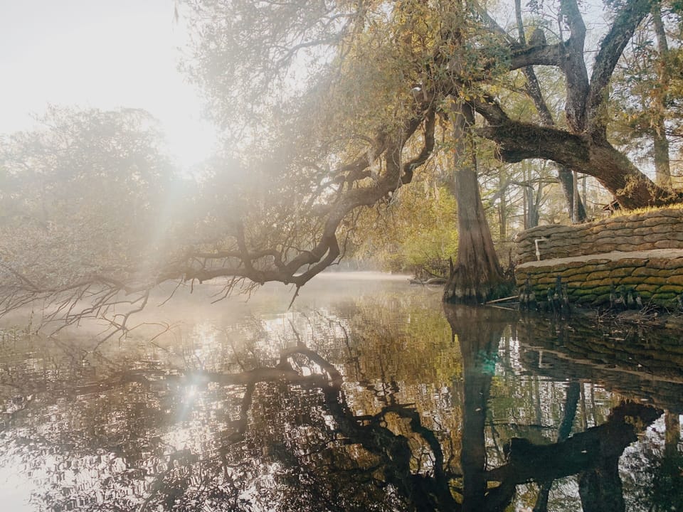 Beautiful morning on the river