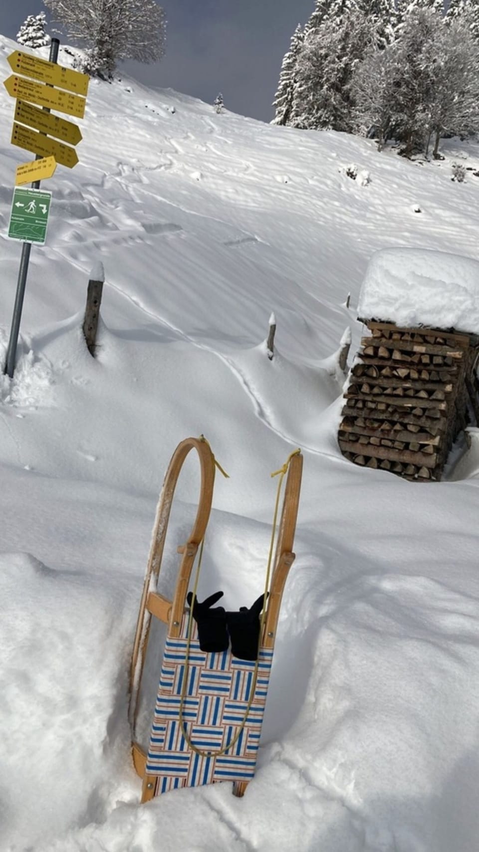 Snow and ski sports
