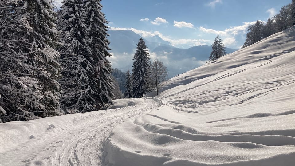 Snow and ski sports