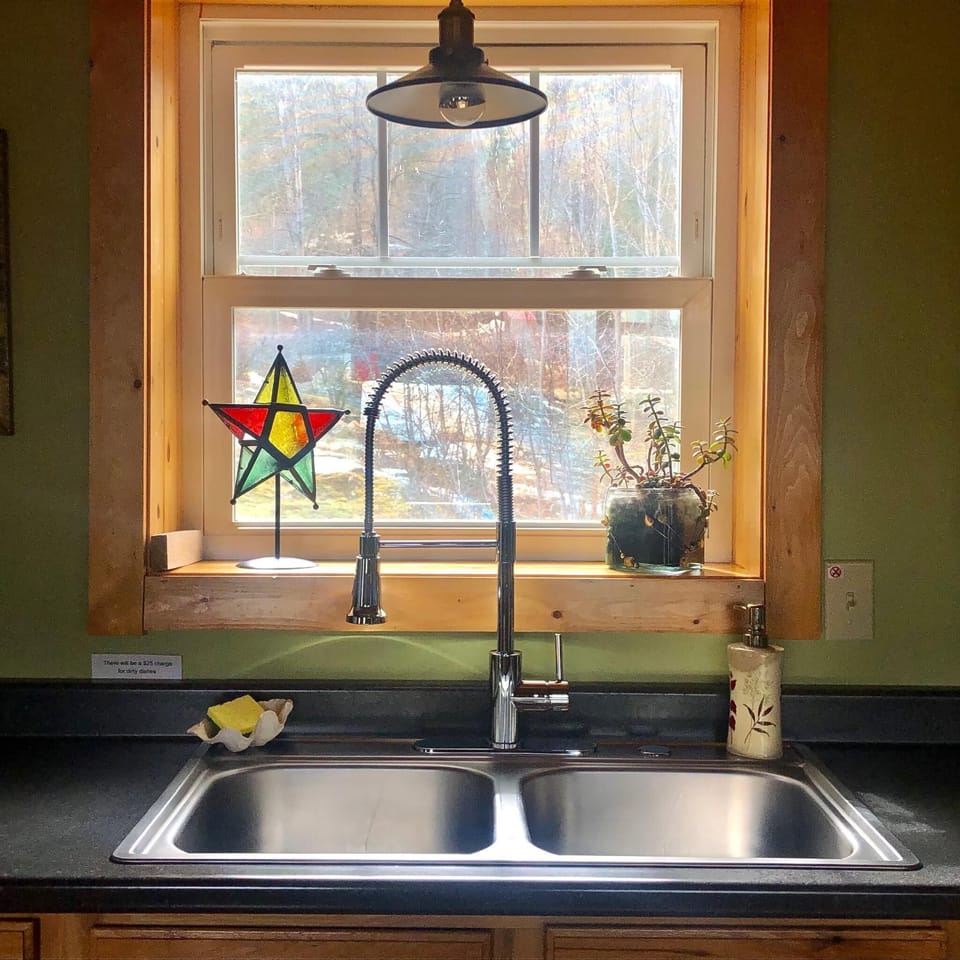 Dual stainless steel kitchen sink with a flexible coil spring faucet beneath a window framed in natural wood.