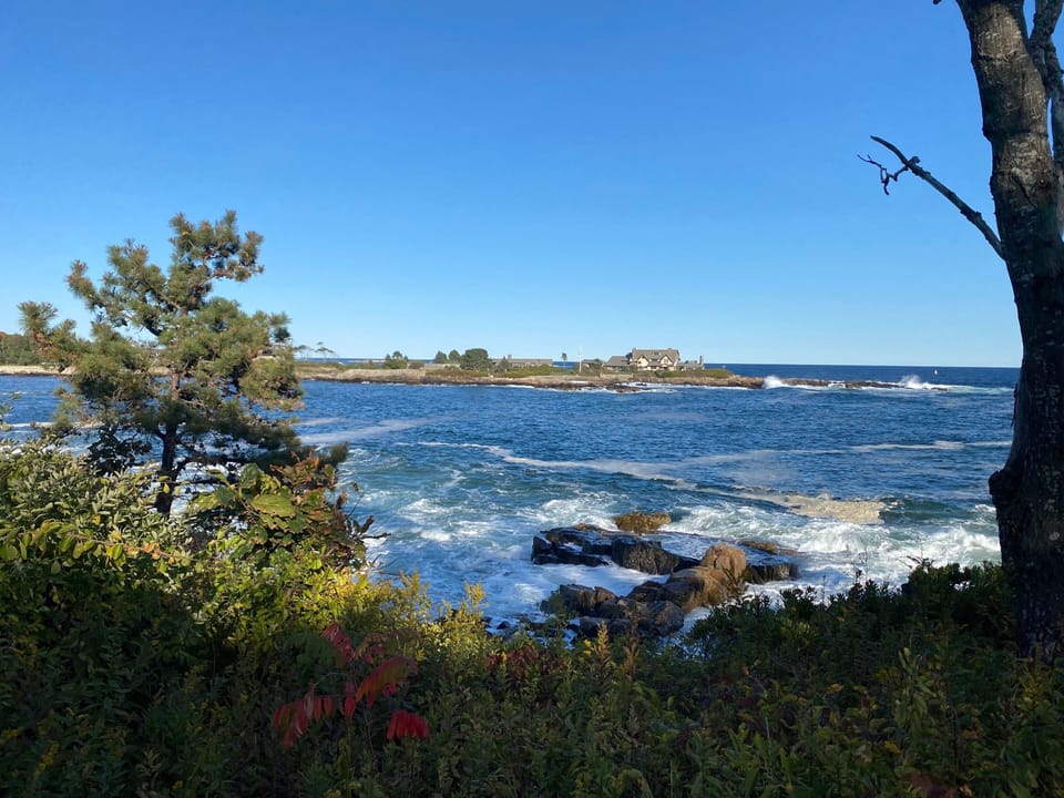 Walk down our shell driveway w/ ur morning coffee  & find the park bench 😀✅