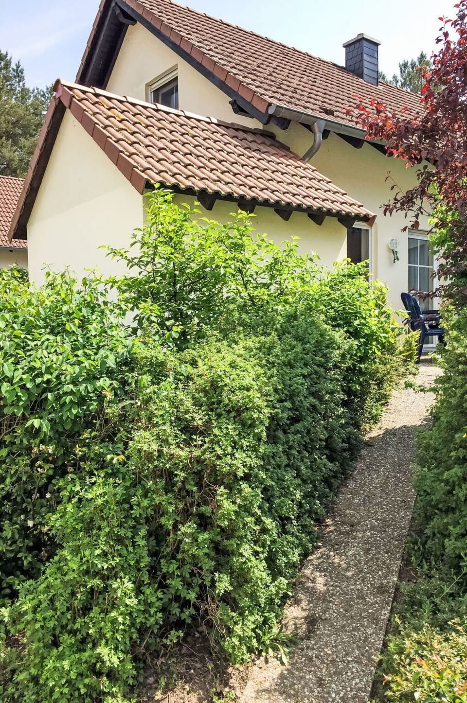 Shrub, Plant Community, Groundcover, Hedge, Woody Plant, Garden, Plantation, Evergreen, Backyard