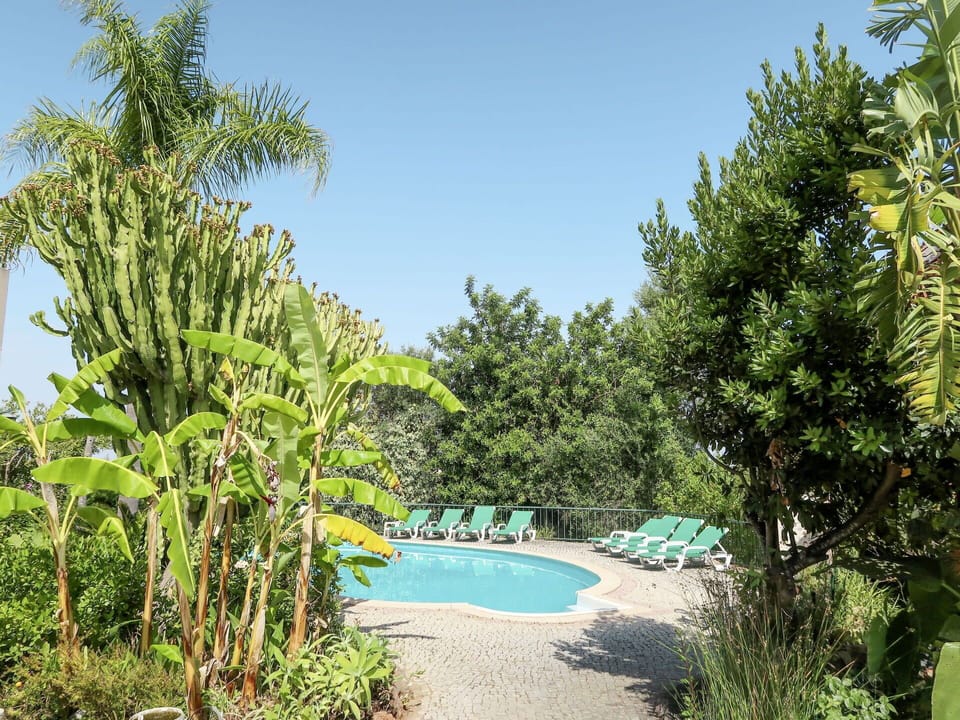 Sky, Plant, Water, Plant Community, Natural Landscape, Arecales, Swimming Pool, Terrestrial Plant, Tree, Landscape
