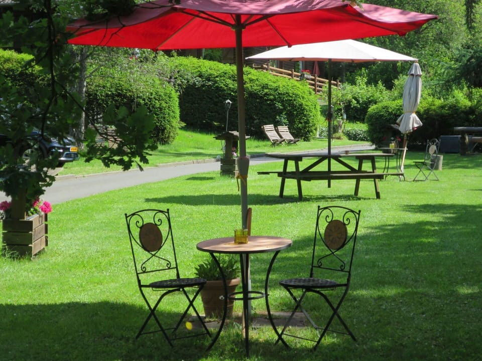 Plant, Table, Property, Furniture, Outdoor Table, Nature, Botany, Shade, Tree, Outdoor Furniture