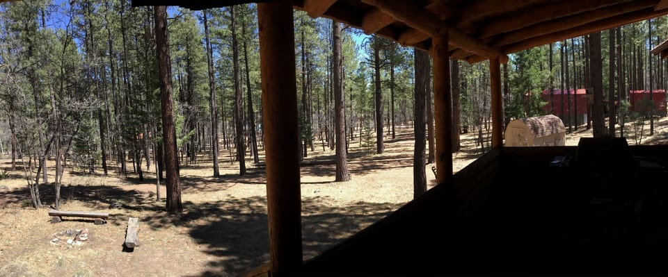 South view from porch.