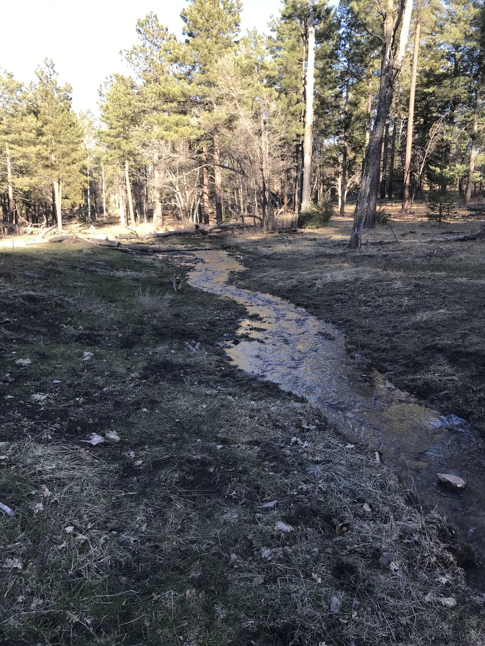 Stream south of cabin. 400 yards. 