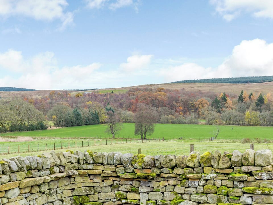 Surrounding area | Merry Burn Barn, Falstone, near Kielder