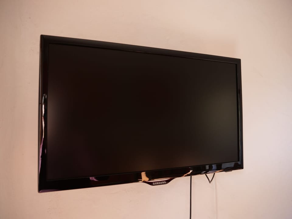 Television