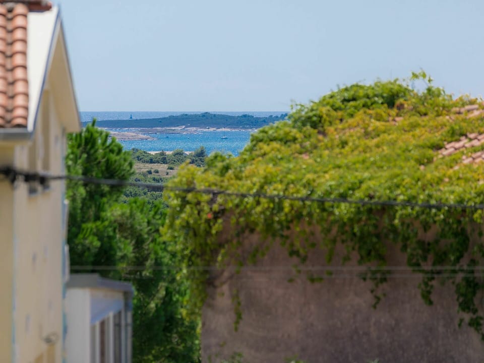Sky, Plant, Building, Azure, Water, Window, Body Of Water, Land Lot, Landscape, Groundcover