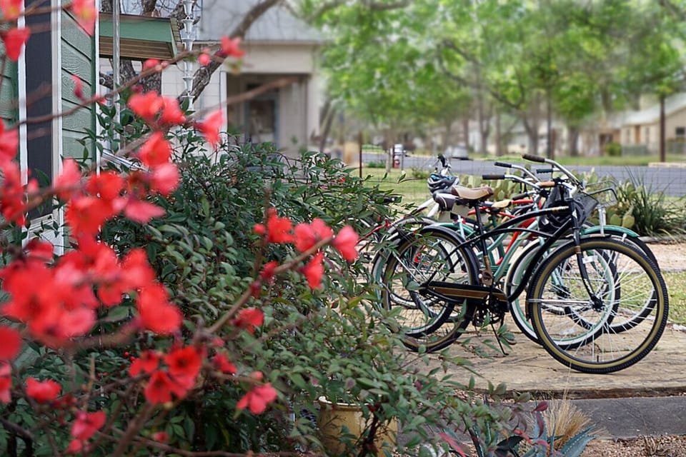 Cruise around town on one of our bikes!