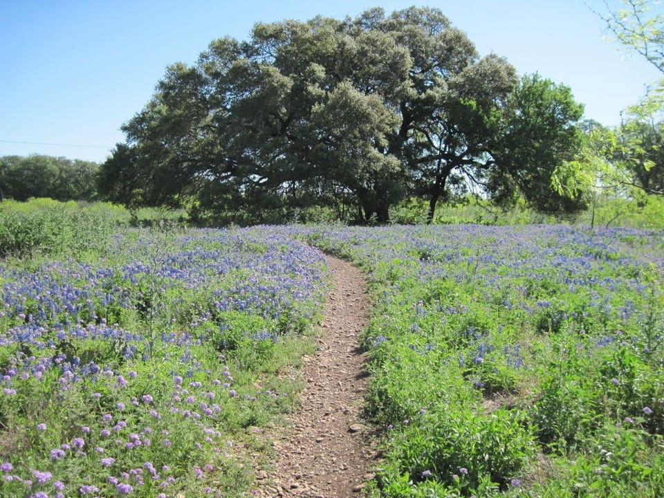 Nearby MacAllister Park