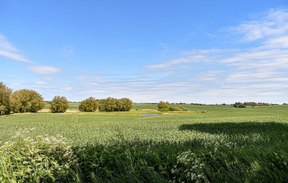 area