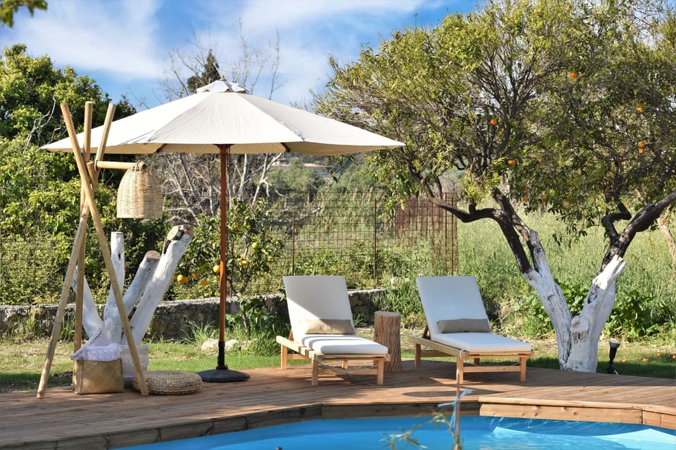 swimming pool with sunbeds