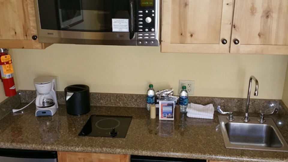 Single electric stove burner