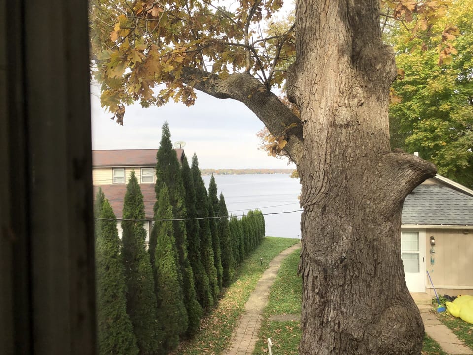View from property