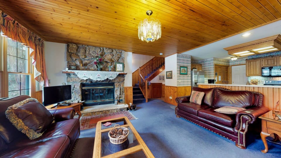 Living room with fireplace and sofa sleeper