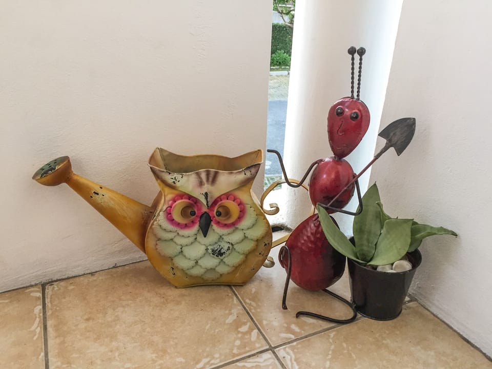 Who are these guys? They're your quirky friends on the patio, waiting to meet u!