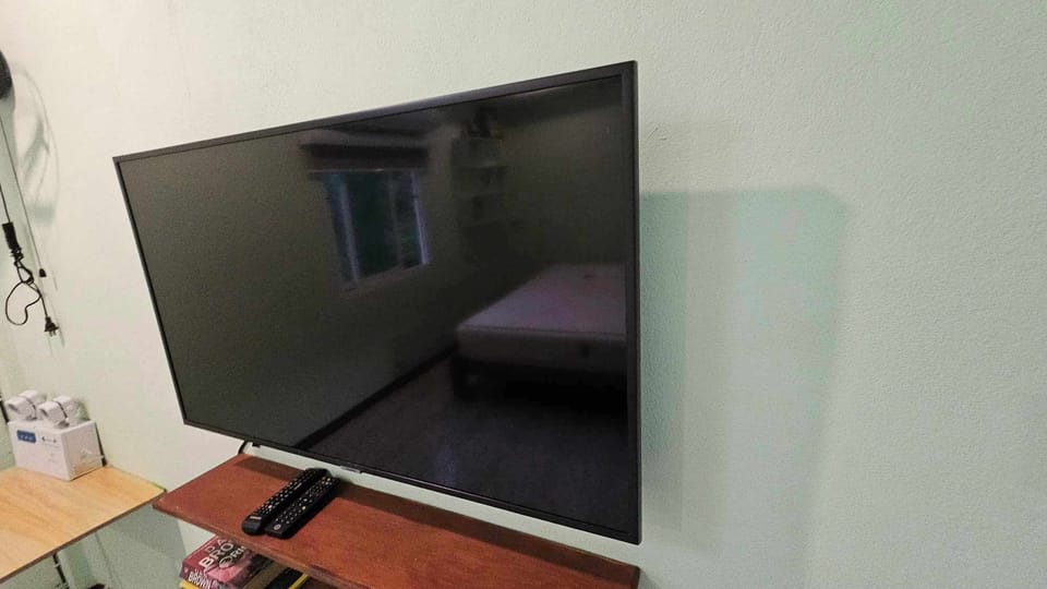 Television