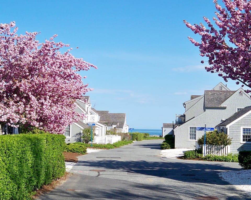 Example of walk thru Maushop Village - Manicured and Colorful
