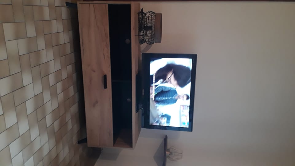 Television