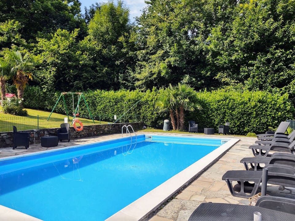 Water, Plant, Swimming Pool, Property, Shade, Tree, Rectangle, Body Of Water, Architecture, Outdoor Furniture