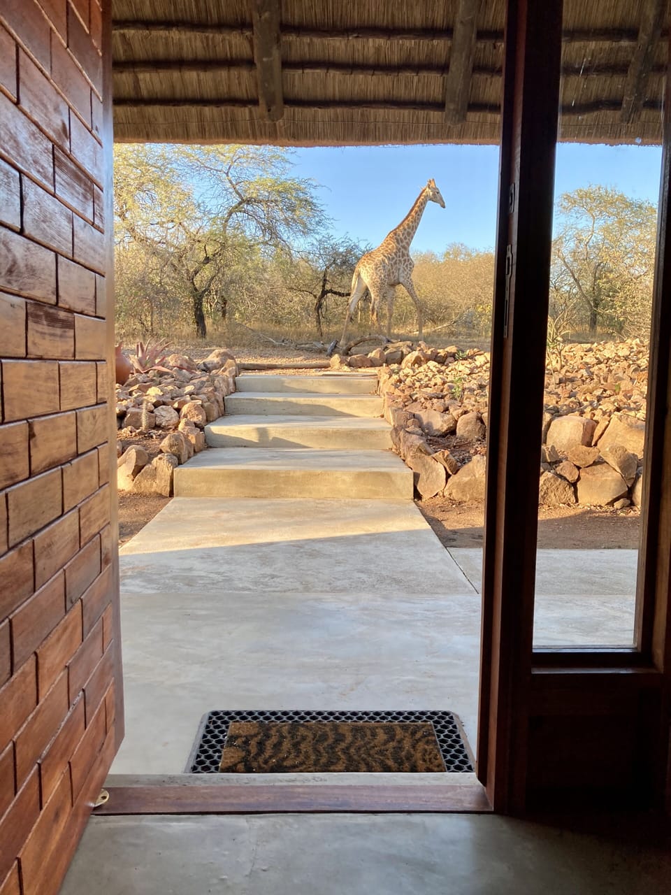 Giraffe at the Entrance of Pata Pata House