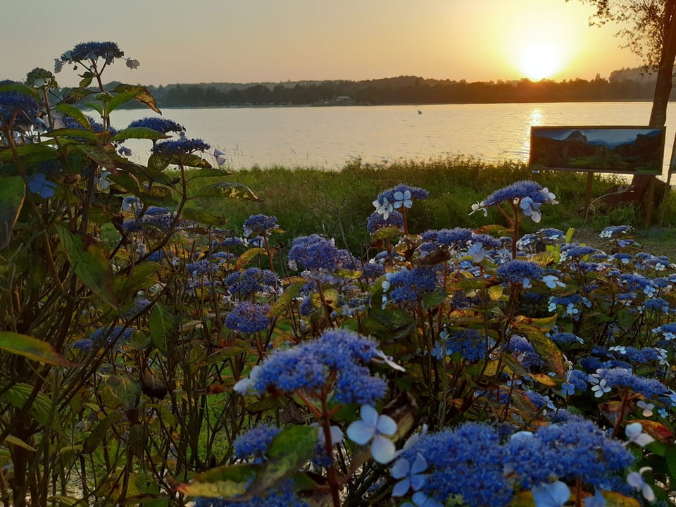Lac au Duc, Hortensia circuit and lake