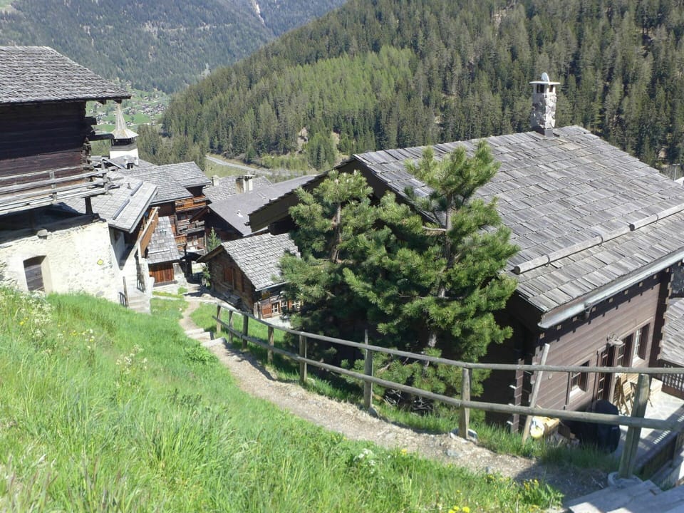 Plant, Building, Mountain, Highland, Tree, Wood, House, Natural Landscape, Window, Biome