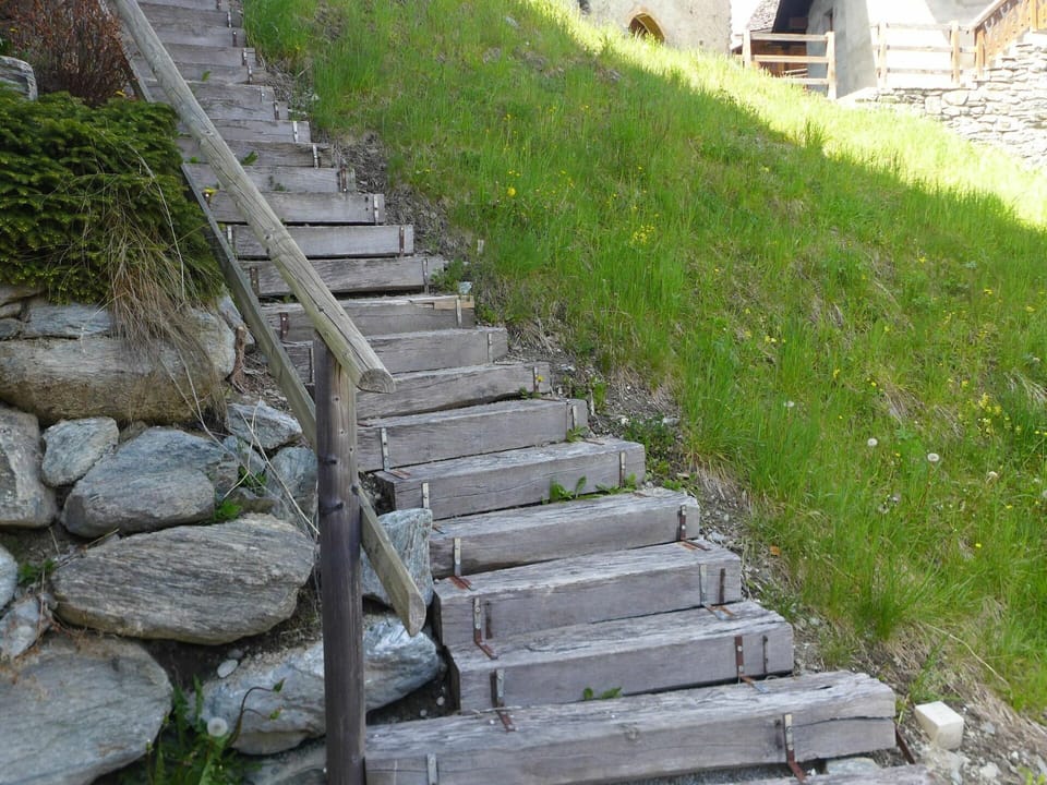 Plant, Grass, Bedrock, Wall, Groundcover, Shrub, Stairs, Wood, Landscape, Stone Wall