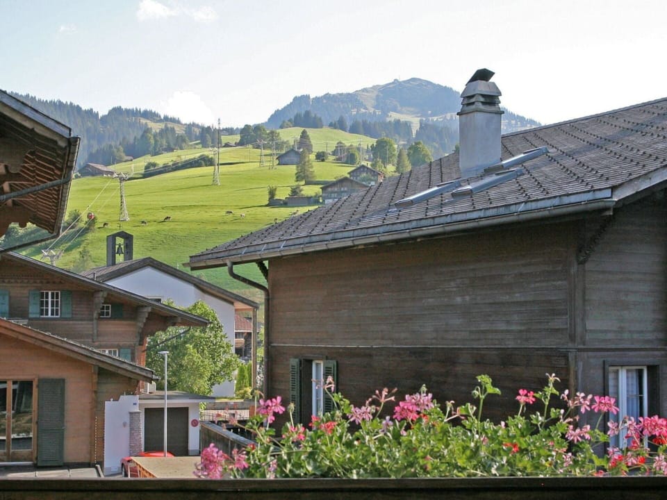 Plant, Sky, Flower, Cloud, Building, Property, Window, Mountain, House, Wood