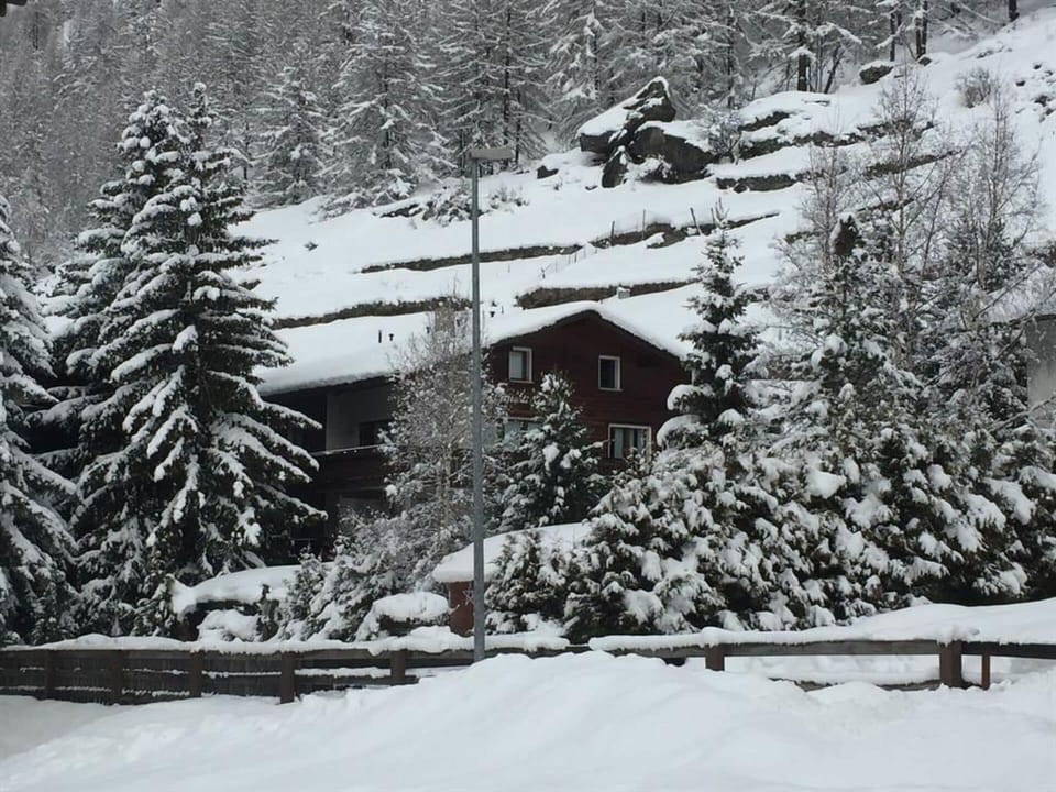 Snow, Building, Window, Freezing, House, Slope, Real Estate, Wood, Geological Phenomenon, Tree