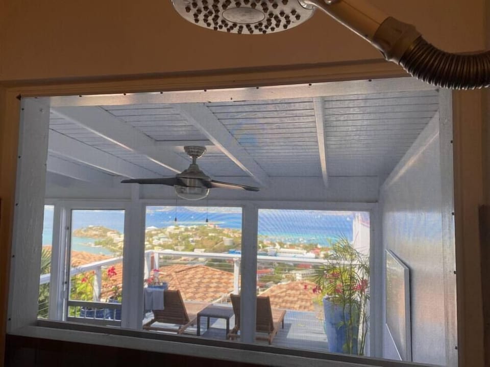 View from the Shower