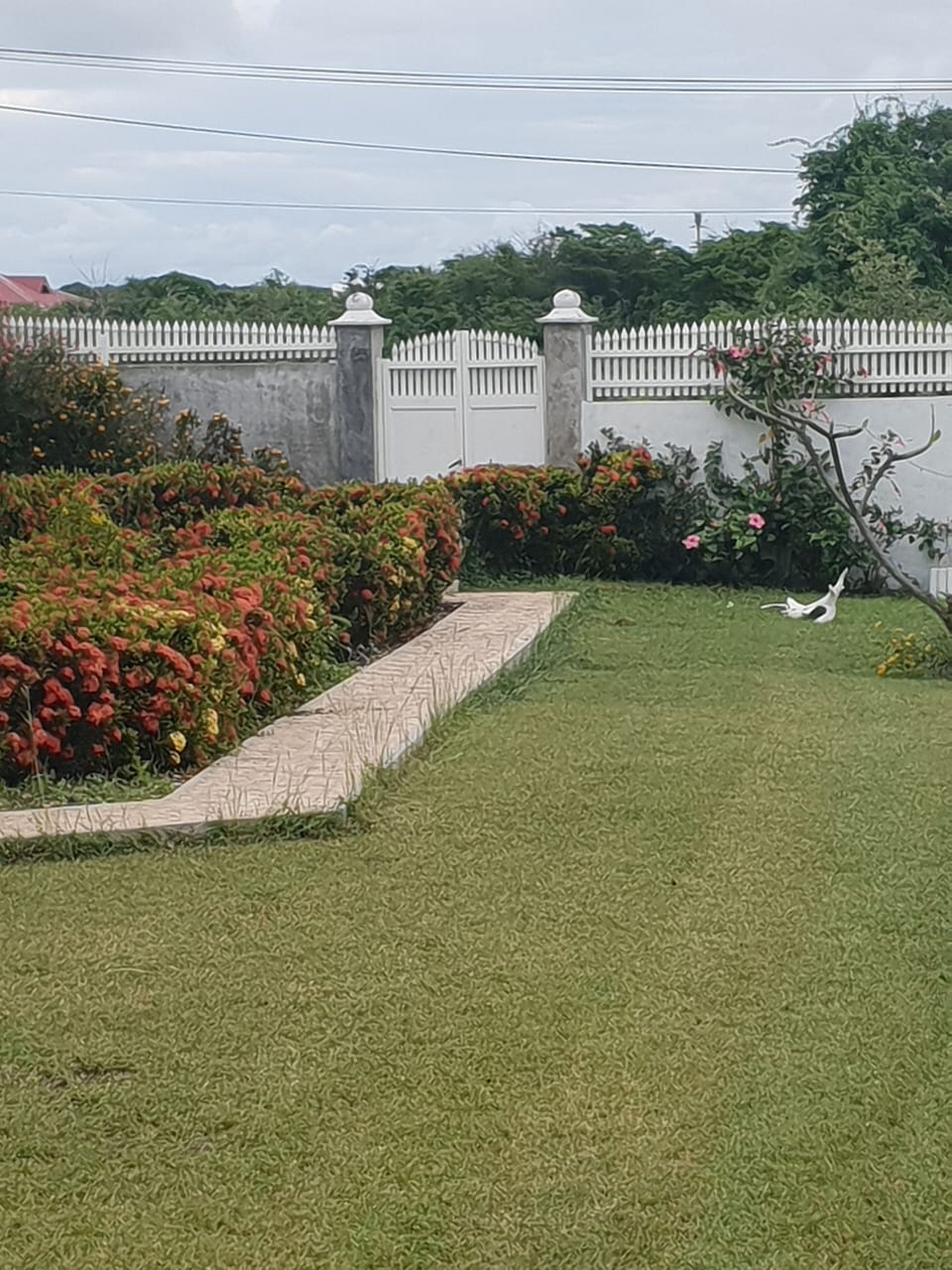 Property grounds