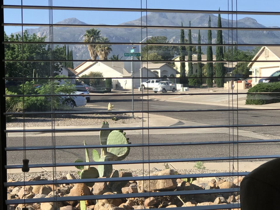 View from dining room window.
