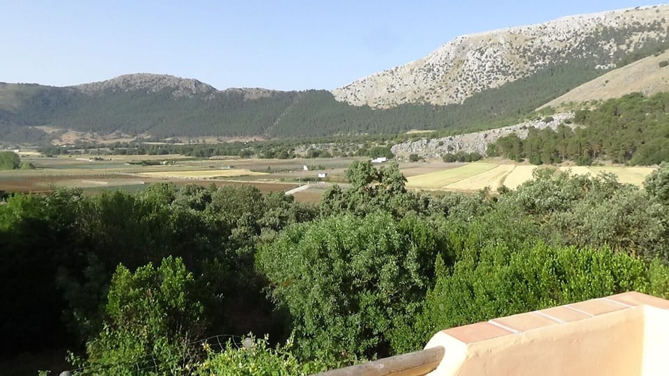 A view from the terrace