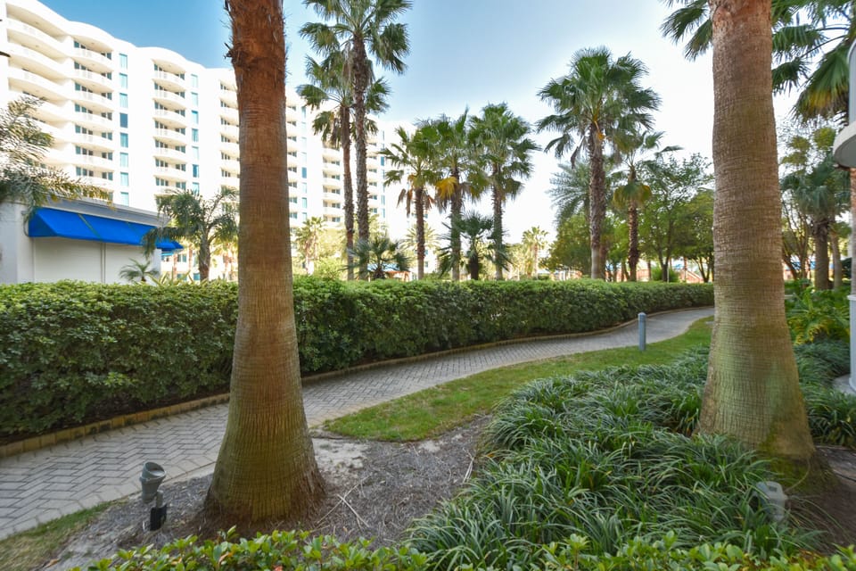 Palms 2103-  Balcony View