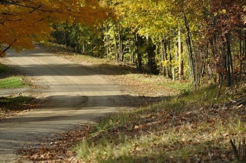 Gravel Road along cabin. Beautiful fall colors! 