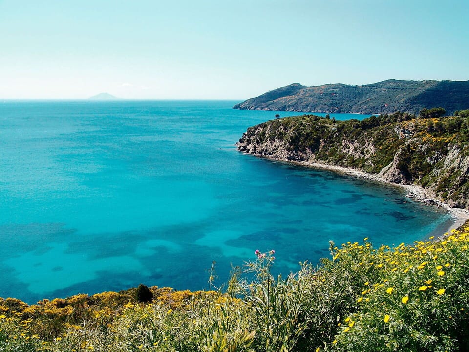 Body Of Water, Coastal And Oceanic Landforms, Vegetation, Blue, Natural Landscape, Coast, Plant Community, Landscape, Ocean, Sea