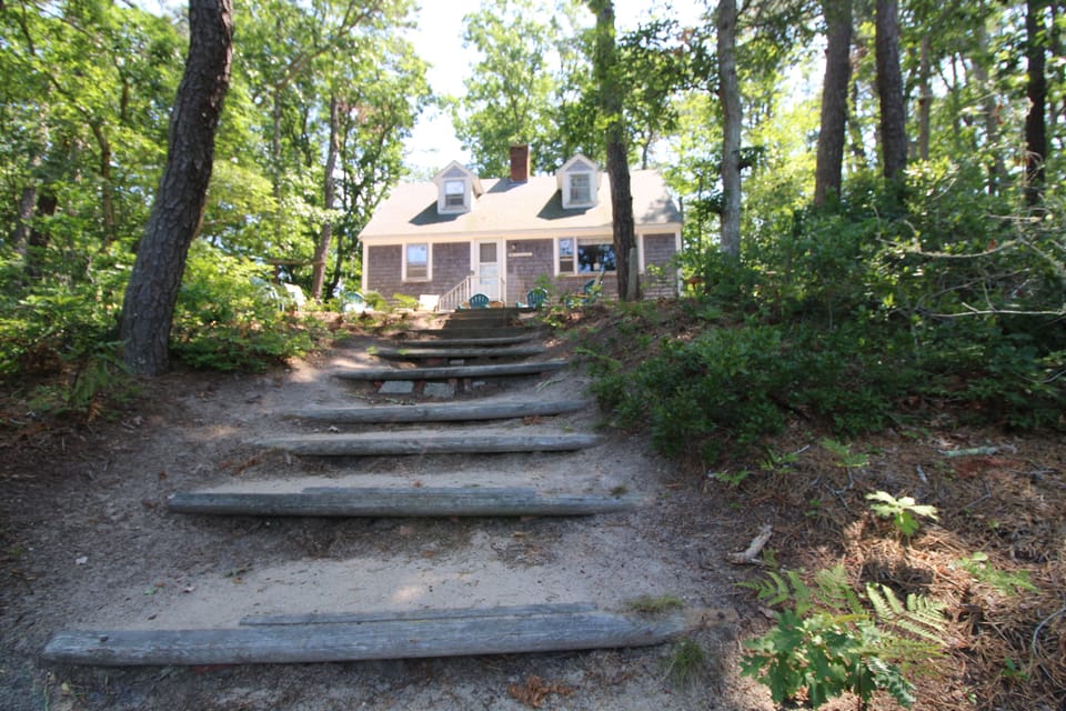 Stairs to the Pond