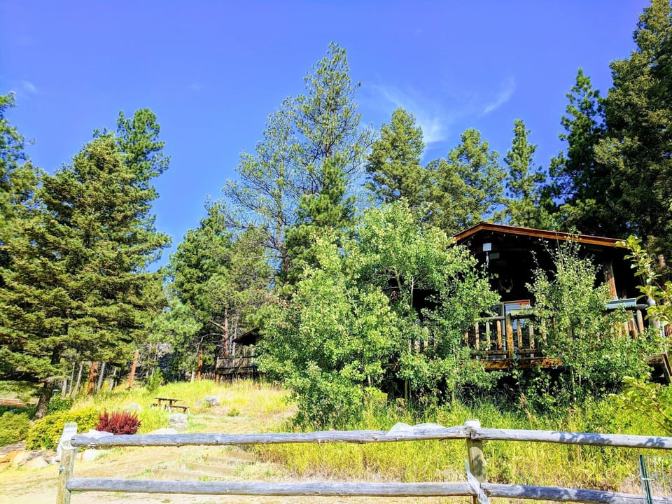 cabin 1