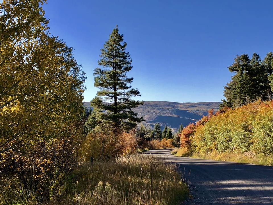 fall scene - nearby on the Buford-New Castle Road