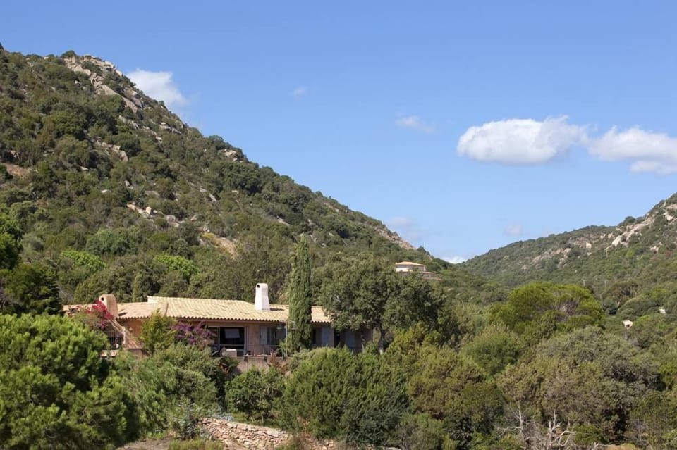 Overview
