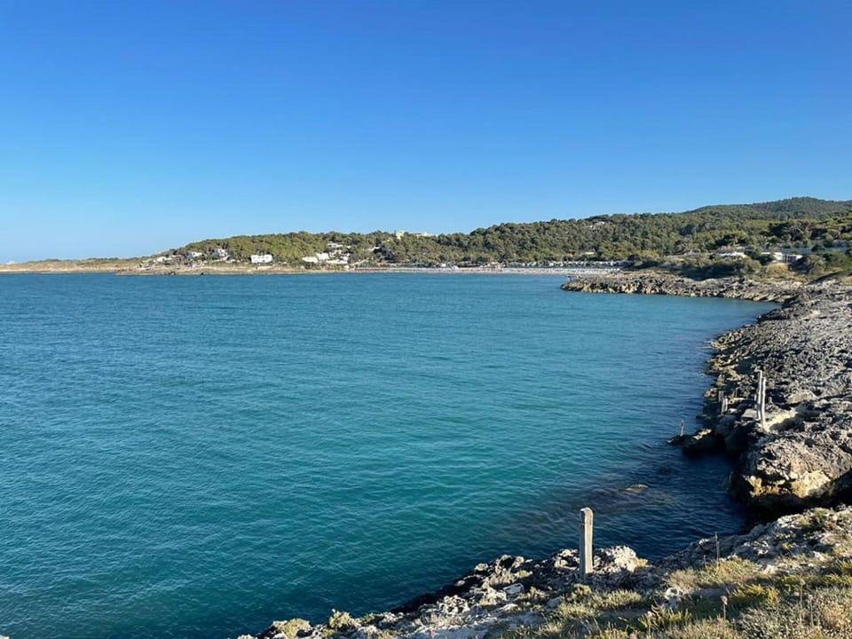 Water, Sky, Azure, Natural Landscape, Coastal And Oceanic Landforms, Lake, Bank, Beach, Horizon, Landscape