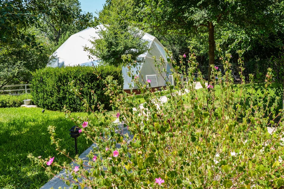 The dome is a greenhouse with koi pond & plants. plantings can change w/seasons.