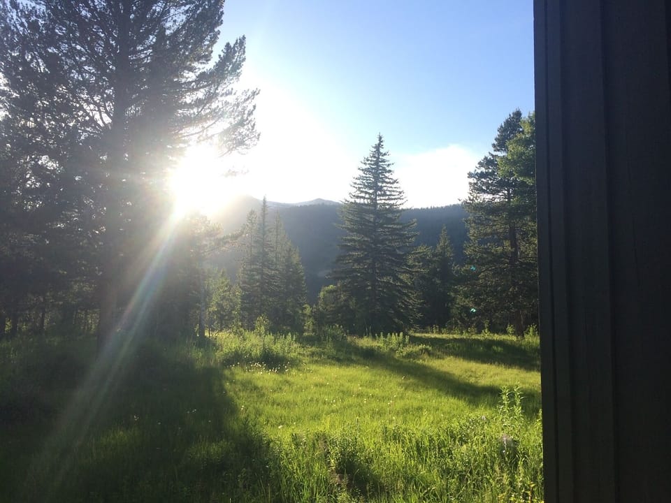 Spring light